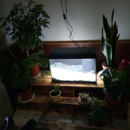 Hostal El Tropezon Matallana de Valmadrigal Dış mekan fotoğraf